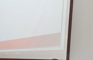 Георги Млеканов за групата „Аз участвам, Аз съм тук“ в социалните мрежи
