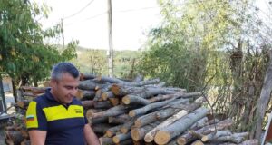 Преди зимата: Незаконно добита дървесина в два имота в региона